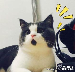 旋风少年大结局怎么样(旋风结局大揭露)(5)