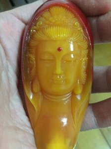 ​被人类盯上脑袋的鸟，只因头骨价值80万，盔犀鸟家族的血泪史